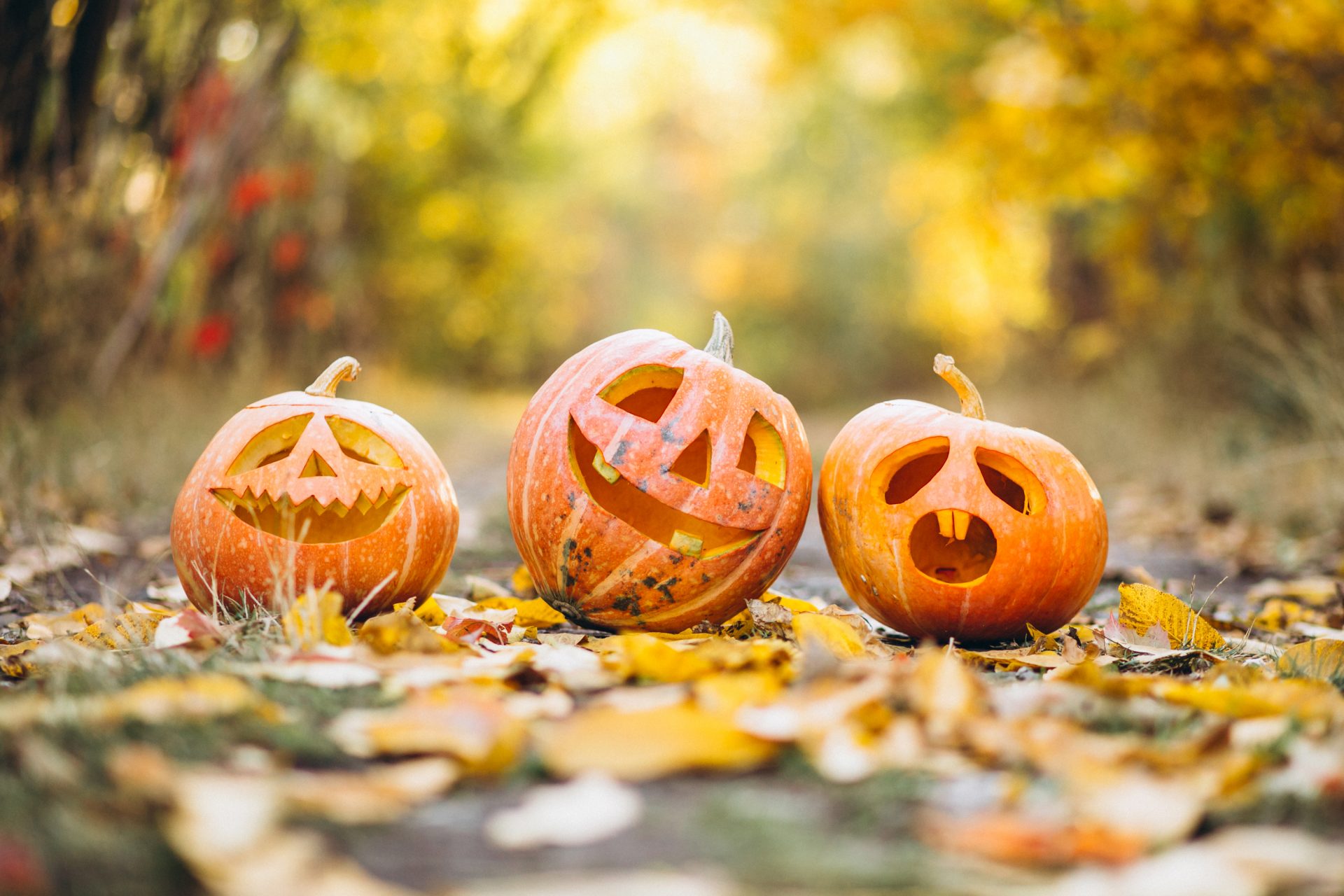 three-cute-halloween-pumpkins-in-autumn-park
